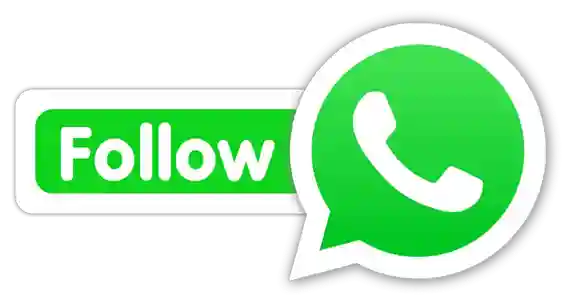 BIG CASH WhatsApp